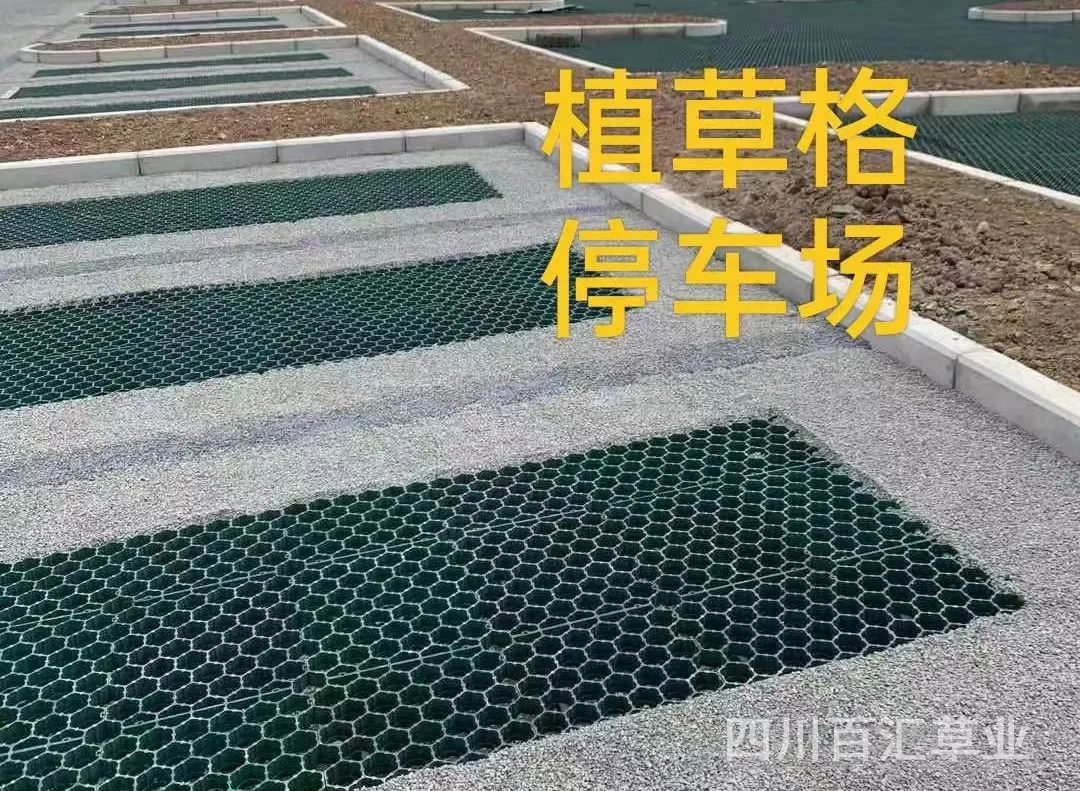 停車(chē)場(chǎng)植草格